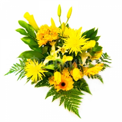Поздравляю Одиночные желтые хризантемы, желтые герберы, желтые тюльпаны, желтые каллы, лилия и зелень – отличный способ сказать «Поздравляю»! <a href=