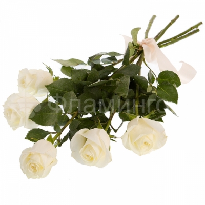 Розы код 606 Белые розы – символы вечной любви, нежности и искренности. Ваш подарок обязательно найдет отклик в сердце получателя. К любому празднику или просто так, без повода цветочная композиция из пяти белых роз с доставкой станет замечательным знаком внимания. Подарите любимой отличной настроение вместе с нежным <a href=